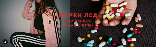 эйфоретик Вяземский