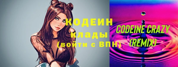 эйфоретик Вяземский