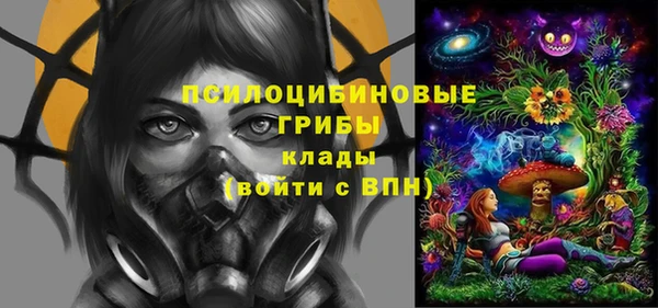 эйфоретик Вяземский