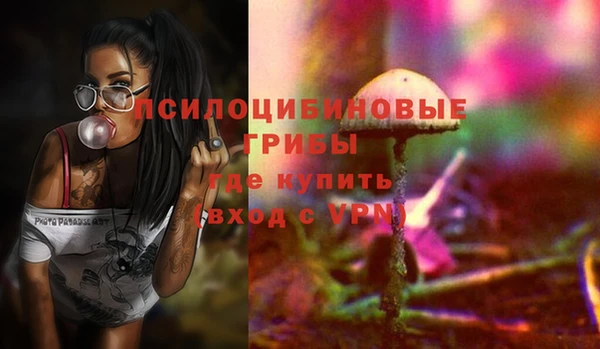 эйфоретик Вяземский