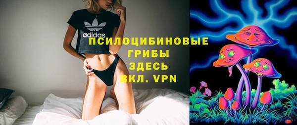 apvp Вязьма