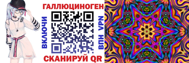 mega   Железногорск  Псилоцибиновые грибы Psilocybe 